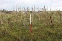 Thumbnail of MDV55667 – fence posts