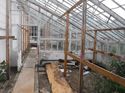 Thumbnail of 2060-1_2327 <br  /> General view of glasshouse to E