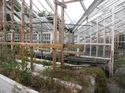 Thumbnail of 2060-1_2330 <br  /> General view of glasshouse central room