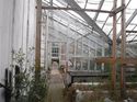 Thumbnail of 2060-1_2333 <br  /> General view of glasshouse to E