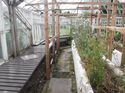 Thumbnail of 2060-1_2335 <br  /> General view of glasshouse central room