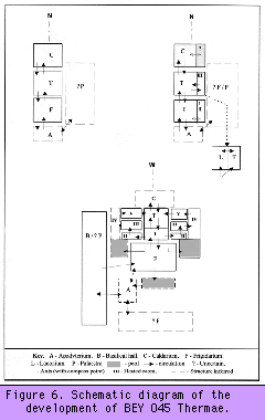 Schematic diagram of the development of the BEY 045 Thermae.