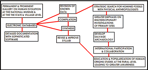 Figure 2. Stages of paleoanthropological research and data dissemination 