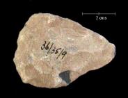 small hornfel handaxe from the Kimberley collections