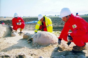 Excavation at site 272 Borsunlu