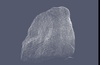 Thumbnail of stone21pointcloud.jpg