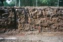 Thumbnail of Plate 4: Upper layers of quarry backfill