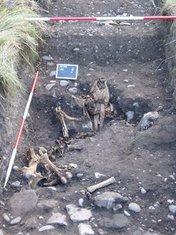 Old Police House, Rocester, Staffordshire: Archaeological Evaluation 2006