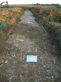 Wixoe to Kirtling Green Pipeline. Archaeological Evaluation