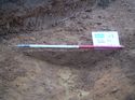 Thumbnail of Trench 81, 81004, looking S