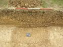 Thumbnail of Trench 23, 23004 sectioned, looking N