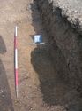 Thumbnail of Trench 8, 8010 sectioned, looking NW