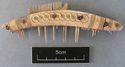 Thumbnail of SF107: Antler Worked Comb