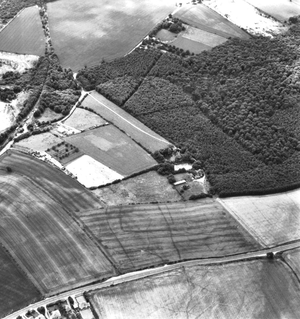 Cropmarks north-east of Scabba Wood, Sprotbrough, S. Yorks
