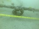 Thumbnail of Iron anchor shaft and stock. Ring still in place, arms and flukes missing.
