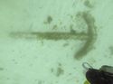 Thumbnail of Multibeam: Linear target adjacent to a mag target. Dive identified iron angle crown anchor. The ring end of the shank appears to be broken.