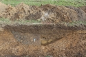 Thumbnail of S facing section of pit 603