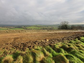 Bray Valley Quarries, Brayford, Barnstaple, Devon. Archaeological Investigation (OASIS ID: cotswold2-281855)