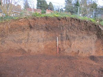 Castle Bungalow, Purlieu Lane, Kenilworth, Warwickshire. Archaeological Evaluation and Watching Brief (OASIS ID: cotswold2-287821)