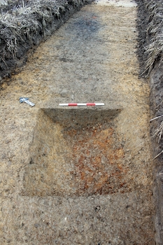 Land East of Halstead Road, Kirby Cross, Essex. Archaeological Evaluation (OASIS ID: cotswold2-288047)