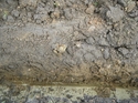 Thumbnail of Area B, cable trench soil profile
