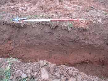 Stoneshill Solar Farm, Five Bridges, Cullompton, Devon. Archaeological Evaluation and Watching Brief (OASIS ID: cotswold2-291108)