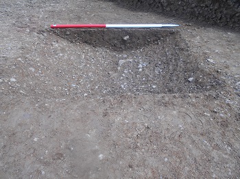 Lockington Quarry (Phase 8), Lockington, Leicestershire. Archaeological Evaluation (OASIS ID: cotswold2-299226)