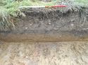 Thumbnail of Trench 5 section, looking east (1m scale)