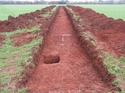 Thumbnail of Trench 6, looking NE