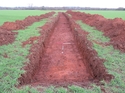 Thumbnail of Trench 8, looking N