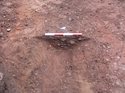 Thumbnail of Ditch 603, looking NE 