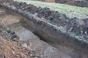 Image from Land near Jangada, Bretforton, Worcestershire