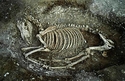 Thumbnail of Northumberland_Bottom, Iron Age Horse2