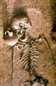 Thumbnail of Pepperhill, burial