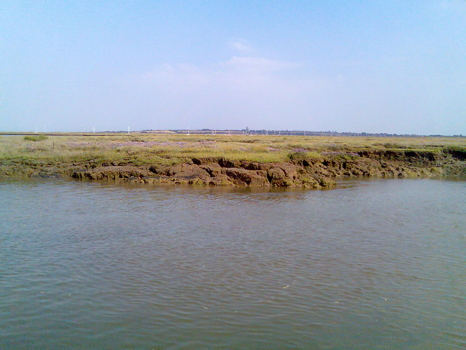 Dardenelles salt marsh