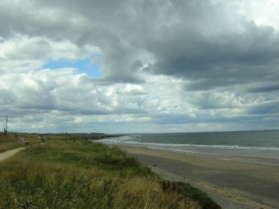 Coastal Rough Ground at Marske