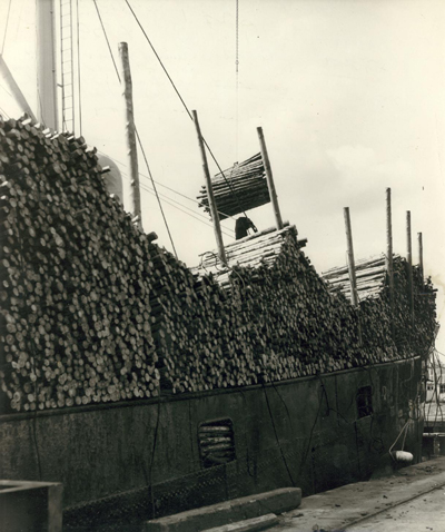 Timber being unloaded from a ship at Hartlepool (© Hartlepool Arts & Museum Service)