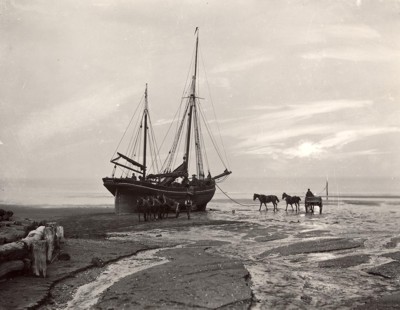 Coal being unloaded from the Diamond of Scarbrough, Sandsend beach (© Whitby Museum)