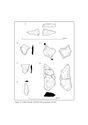 Figure 20: Lithics from the 2007 GCCAS excavations, pit 1001