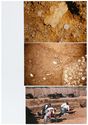 Thumbnail of HT89 Wall Plaster Bone East Room Digging