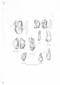 Thumbnail of Worked Flint Drawings 10