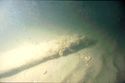 Thumbnail of hz 0998p- hzu-d03 underwater timber
