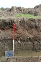 Thumbnail of Trench 52 representative section, SW facing