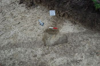 Land adjacent to 40 Royal Oak Lane, Pirton. Archaeological Evaluation (OASIS ID: heritage1-234704)
