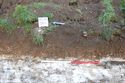 Thumbnail of General shot: Trench 4, looking SE