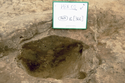 Thumbnail of Section of phase 1a pit (365)