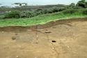 Thumbnail of Exposed surface of the 2000 excavation in the hut area