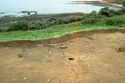 Thumbnail of Exposed surface of the 2000 excavation in the hut area