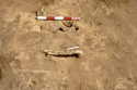 Thumbnail of Cist 1 before excavation (scale 50cm)