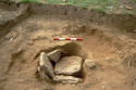 Thumbnail of Cist 5 showing collapsed capstones (scale 50 cm)